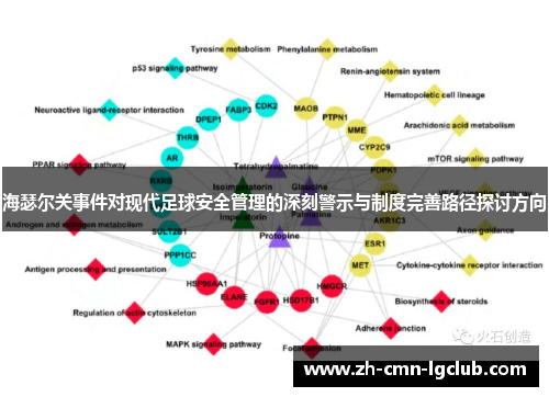 海瑟尔关事件对现代足球安全管理的深刻警示与制度完善路径探讨方向 海瑟尔关事件对现代足球安全管理的深刻警示与制度完善路径探讨方向