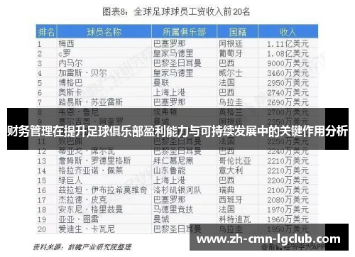财务管理在提升足球俱乐部盈利能力与可持续发展中的关键作用分析 财务管理在提升足球俱乐部盈利能力与可持续发展中的关键作用分析