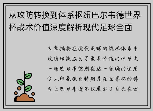 从攻防转换到体系枢纽巴尔韦德世界杯战术价值深度解析现代足球全面